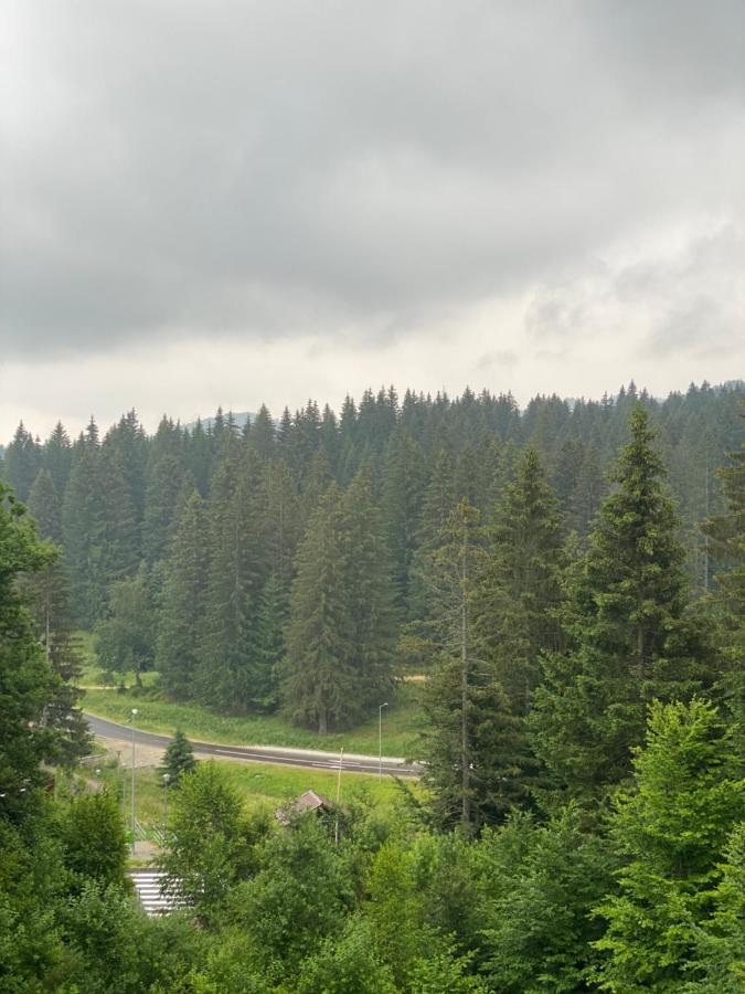Silver Mountain C24 Royal Brassópojána Kültér fotó