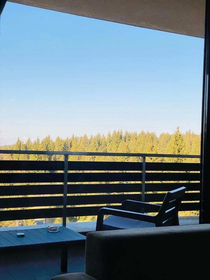 Silver Mountain C24 Royal Brassópojána Kültér fotó